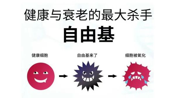 玻尿酸的作用與功效有哪些？